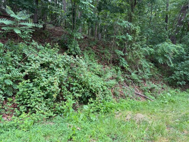 Land for sale in Virginia