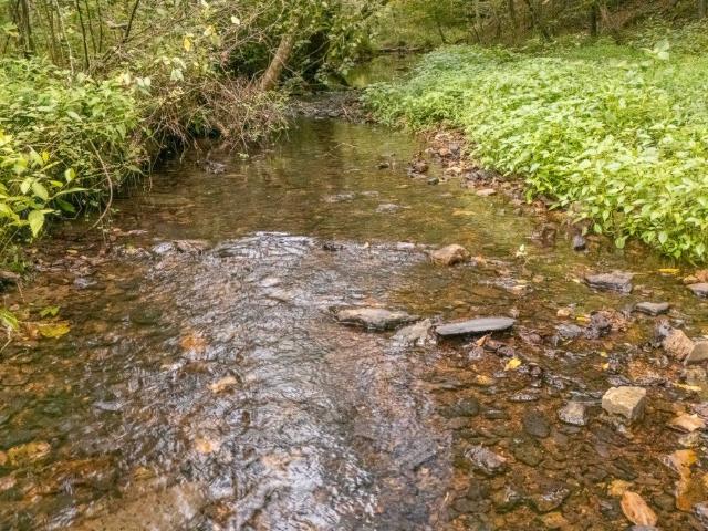 Farm for sale in Tennessee