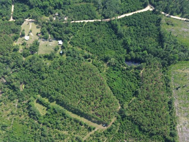 Land for sale in Georgia