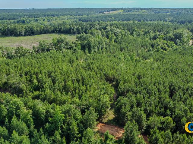 Land for sale in Buena Vista, Georgia