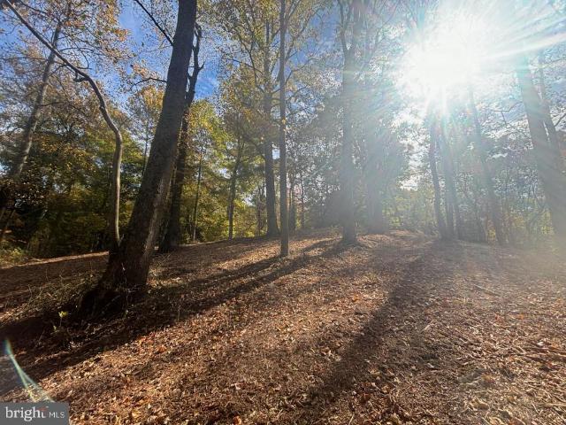 Land for sale in Virginia