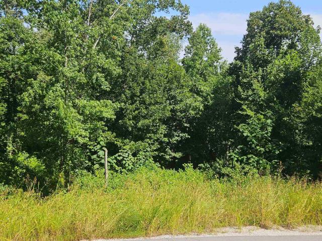 Land for sale in Riverton, Cherokee