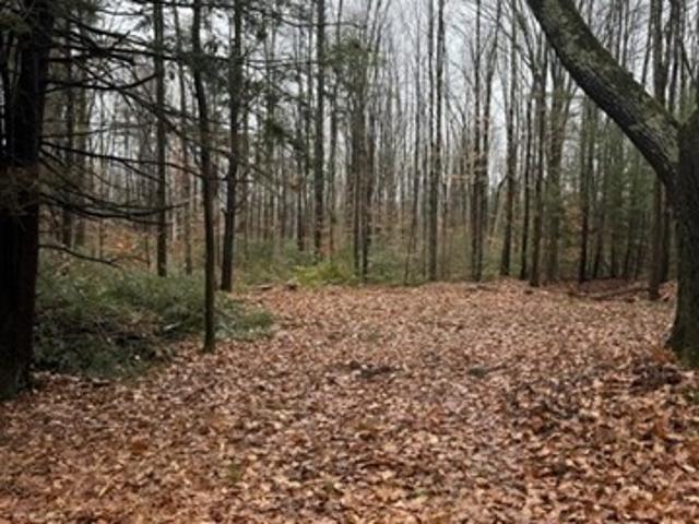 Land for sale in Massachusetts