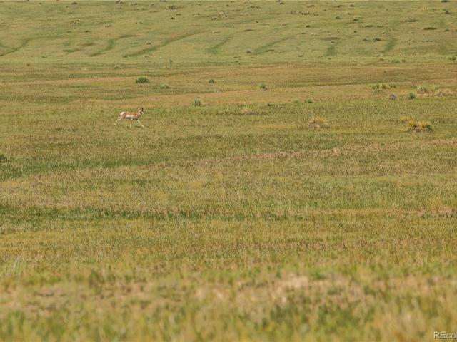 Land for sale in Kiowa, Elbert County