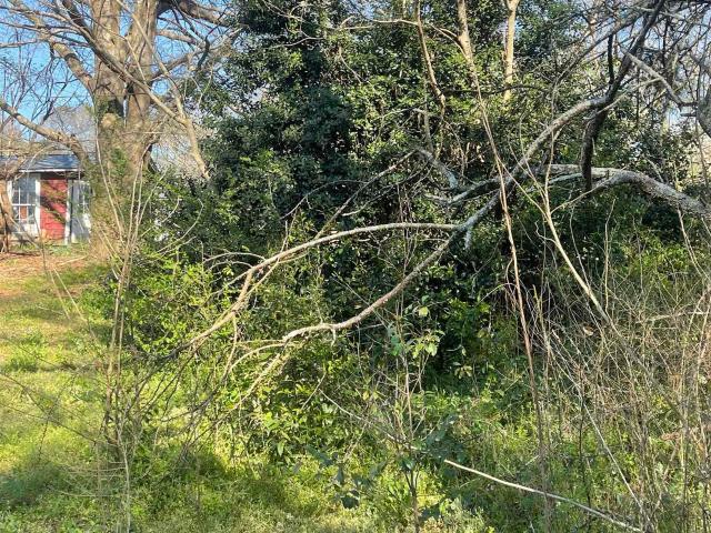 Land for sale in Roanoke, Randolph County