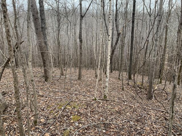 Land for sale in Tennessee