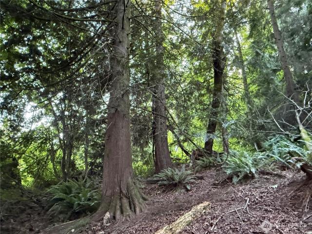 Land for sale in Washington