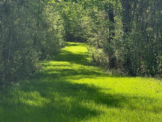 Land for sale in Concord, Georgia