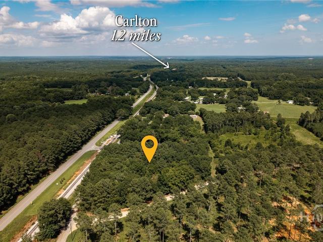 Land for sale in Georgia
