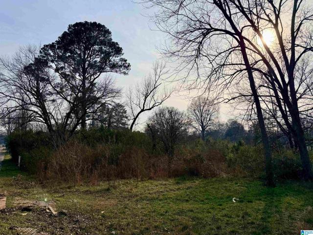 Land for sale in Alpine, Alabama