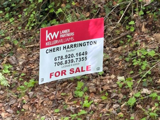 Land for sale in Georgia
