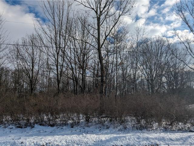 Land for sale in Eaton, New York