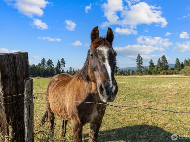 Land for sale in Cle Elum, Washington