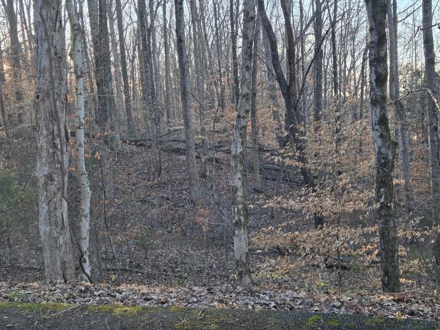 Land for sale in Tennessee