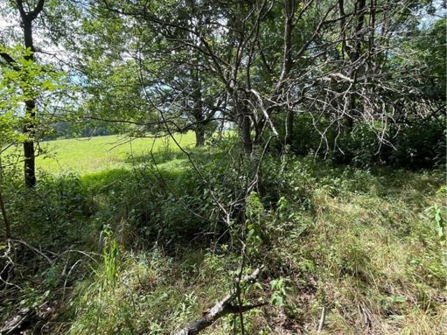 Farm for sale in Wexford