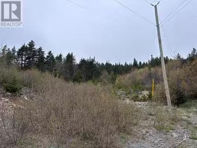 House for sale in Spaniard's Bay, Newfoundland And Labrador