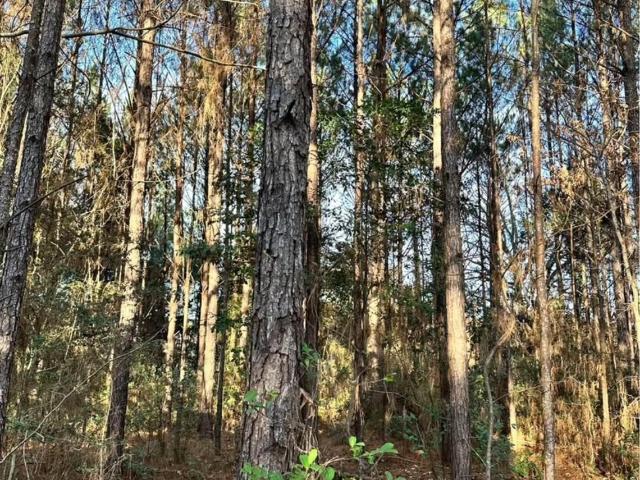 Land for sale in Colmesneil, Texas