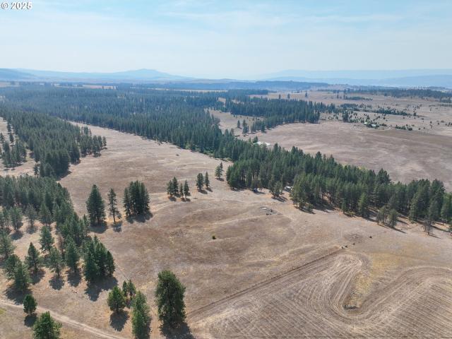 Land for sale in Oregonia