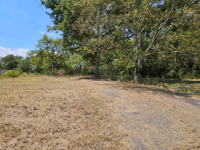 Land for sale in Rogersville, Alabama
