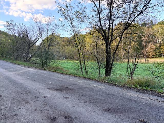 Farm for sale in Durbin, Richhill Township