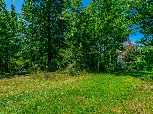 Land for sale in Tennessee