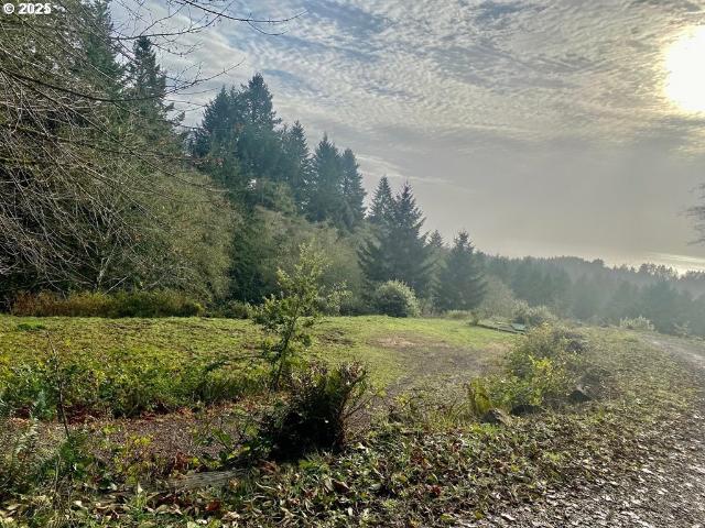 Land for sale in Oregonia
