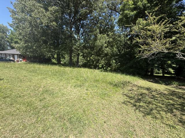Land for sale in Greenville, Kentucky