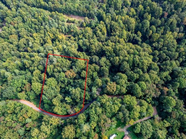 Land for sale in Pine Grove, Stanley