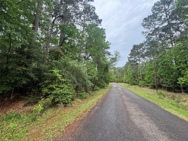 Land for sale in Polk, Texas
