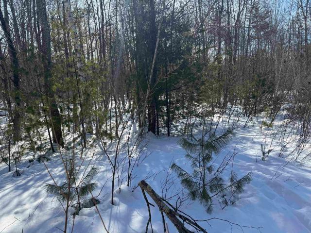 Land for sale in New Hampshire
