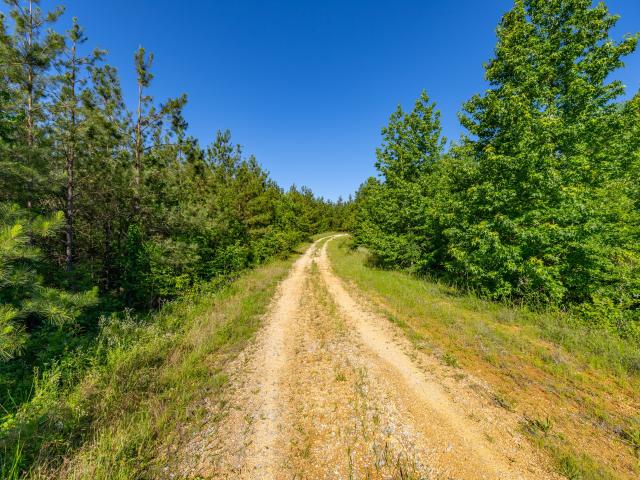 Land for sale in Tennessee