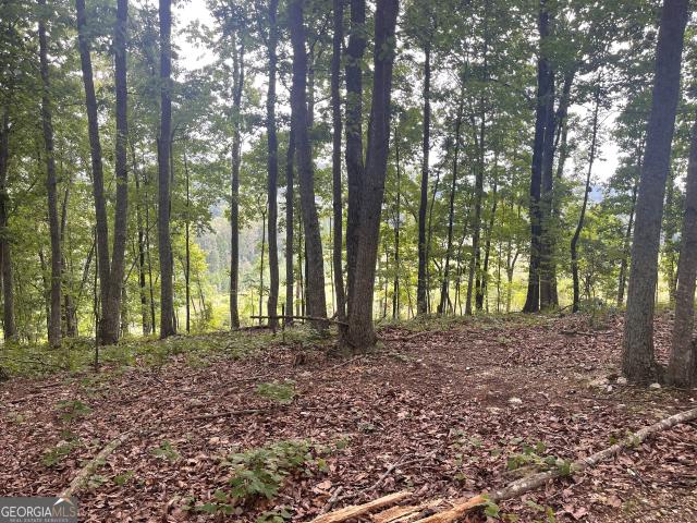 Land for sale in Summerville, Georgia