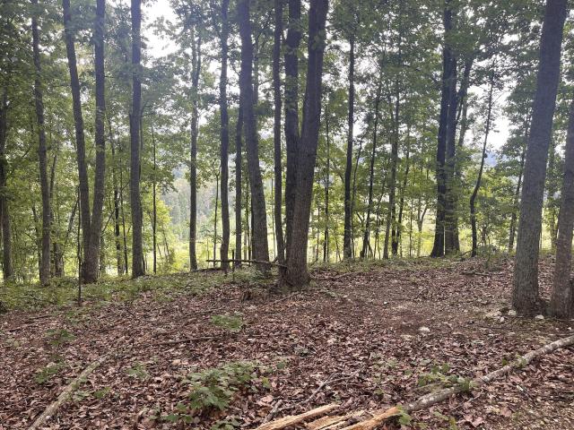 Land for sale in Summerville, Georgia