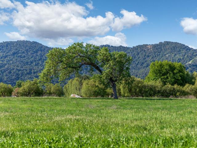 Land for sale in Santa Ynez, California