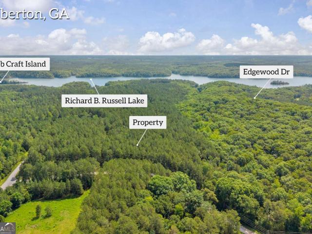 Land for sale in Elbert, Georgia