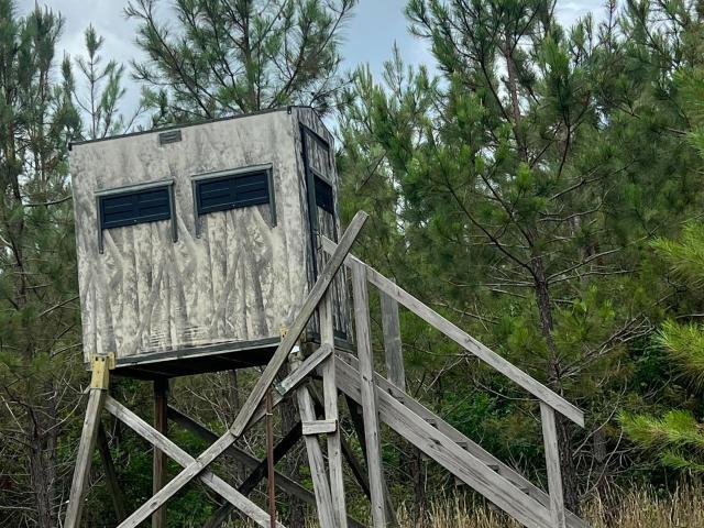 Land for sale in Cherokee, Alabama