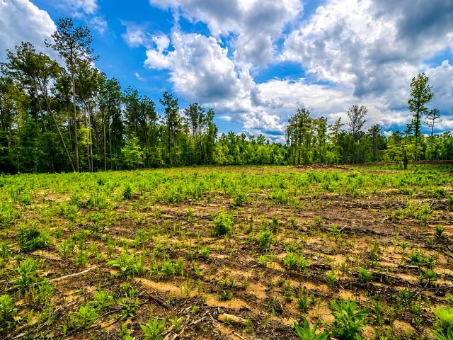 Land for sale in Pine Mountain, Georgia