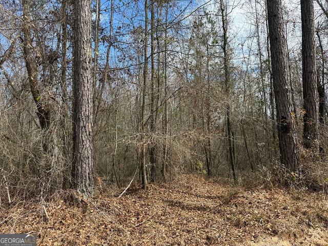 Land for sale in Dry Branch