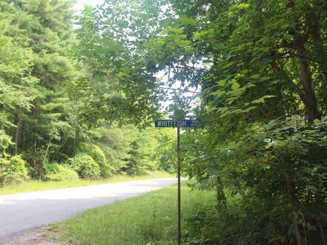 Land for sale in Michigan