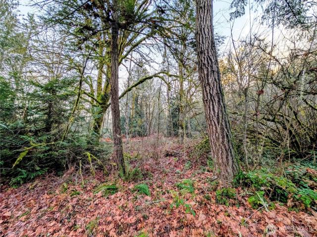 Land for sale in Washington