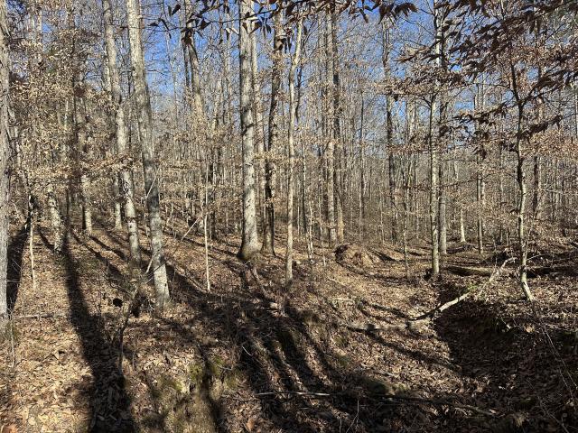 Land for sale in Tennessee