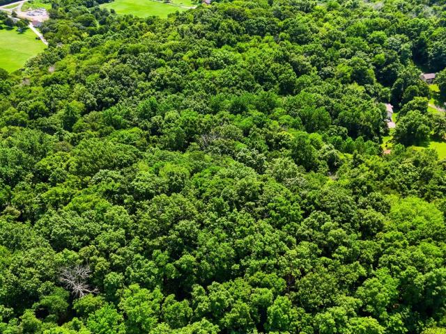 Land for sale in Tennessee