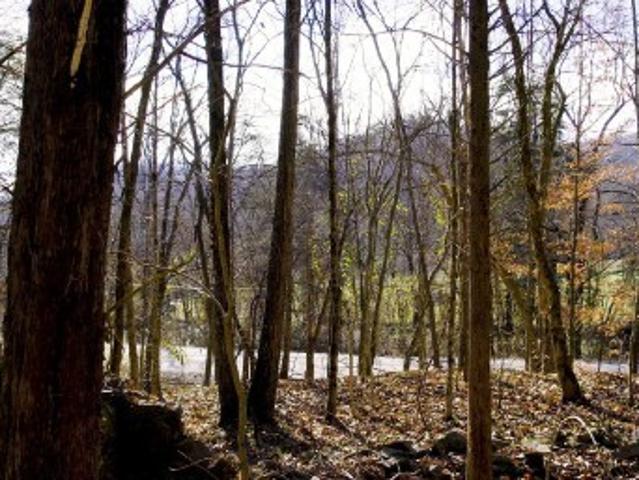 Land for sale in Tennessee