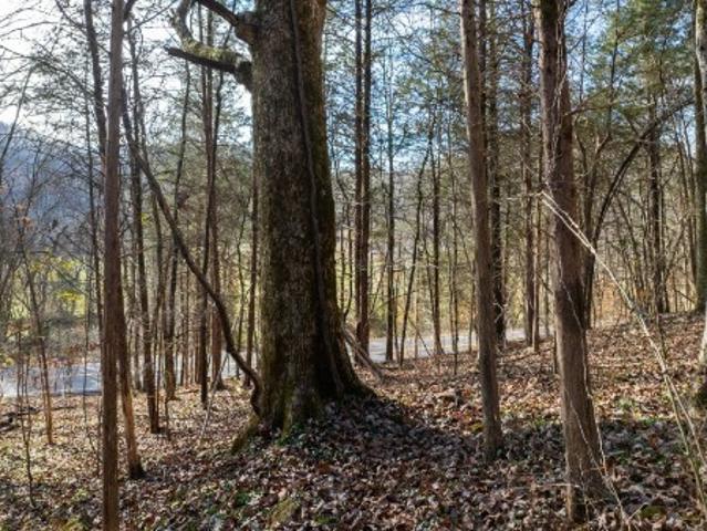 Land for sale in Whites Creek, Nashville
