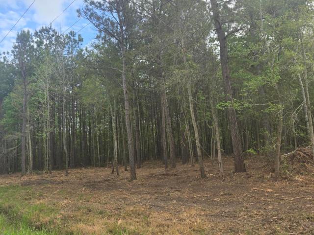 Land for sale in Reevesville, South Carolina