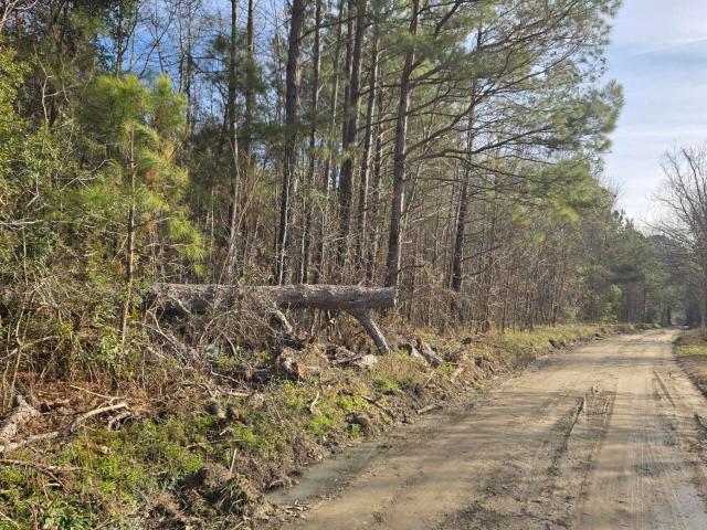 Land for sale in Reevesville, South Carolina