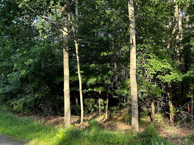 Land for sale in Michigan