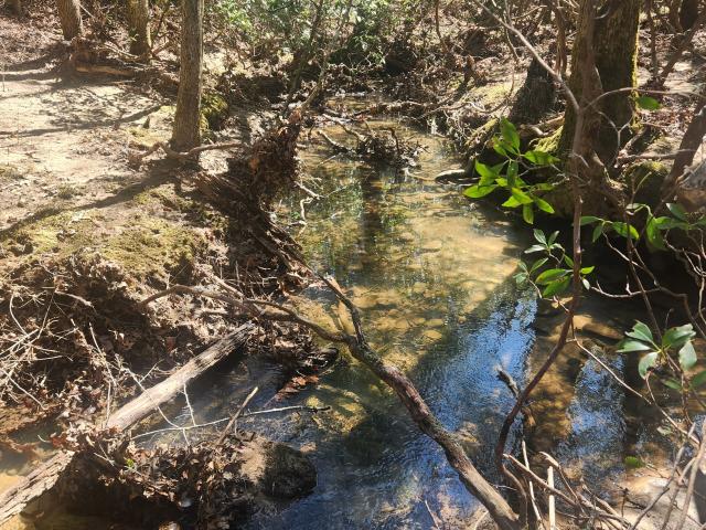 Land for sale in Tennessee