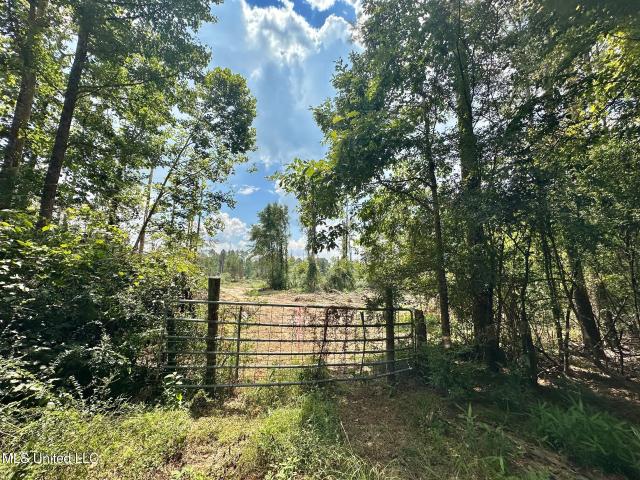 Land for sale in Hazlehurst, Mississippi