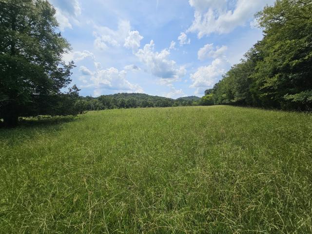 Land for sale in Middle Tennessee, Tennessee